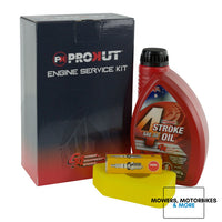 Engine Service Kit B&s Quattro 3.5 To 4.75hp Q45 & Sprint